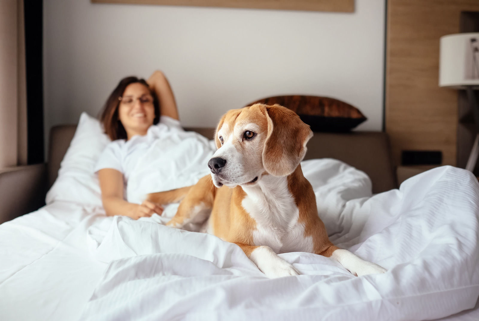 Ensure that Fido is safe and comfortable when staying at pet-friendly hotels in Medicine Hat.